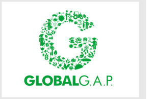 global_gap
